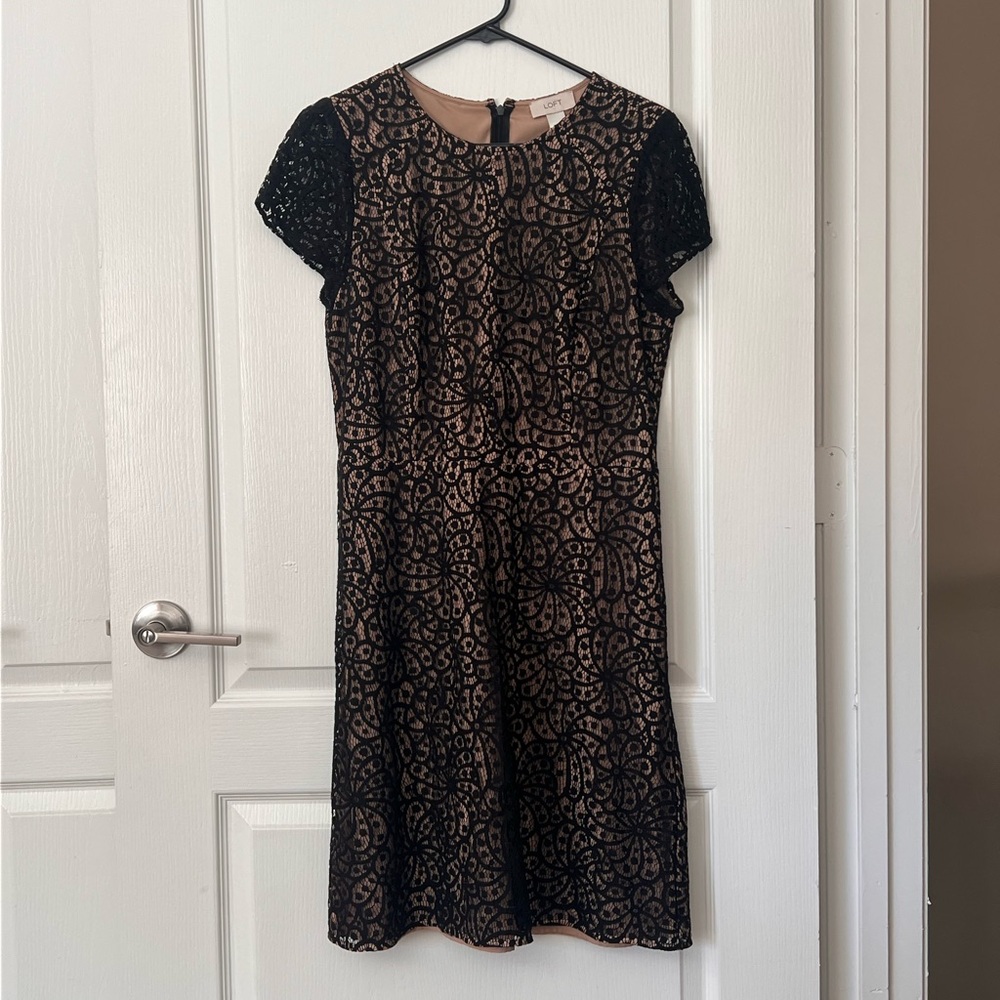 LOFT Elegant Black and Tan Lace Dress Size 8